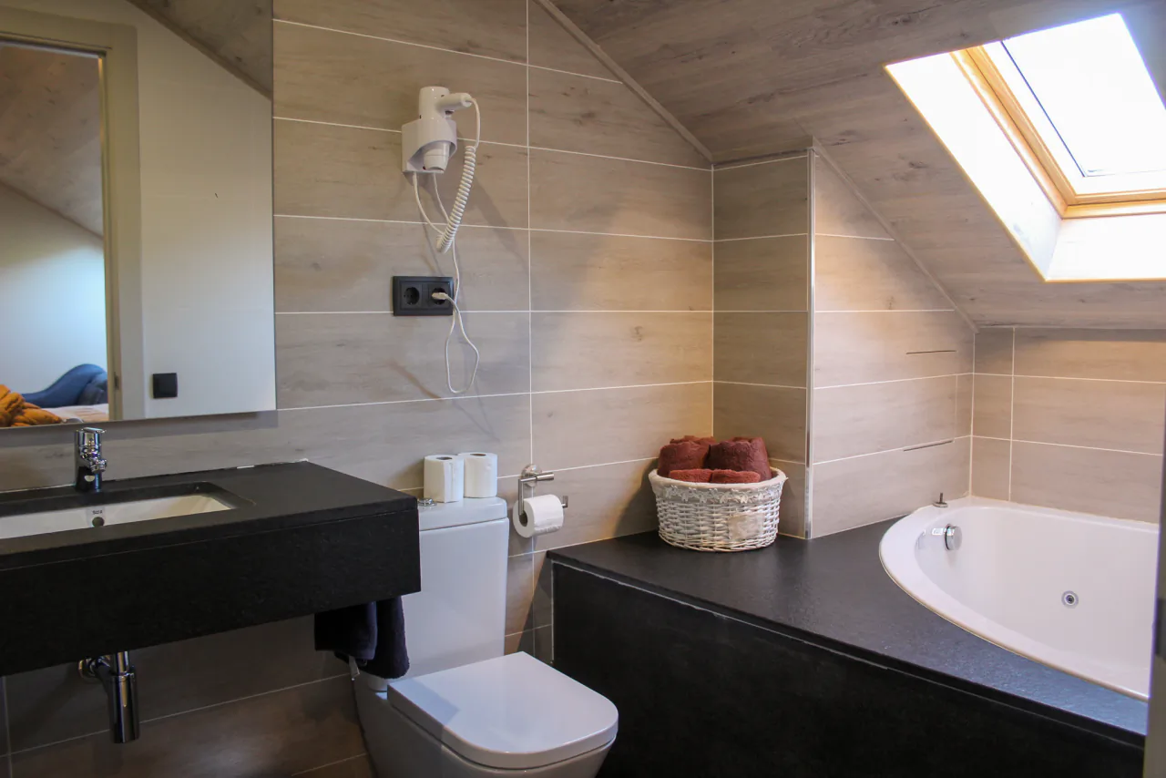 Bathroom under the roof