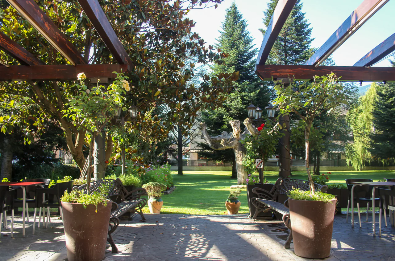 The garden