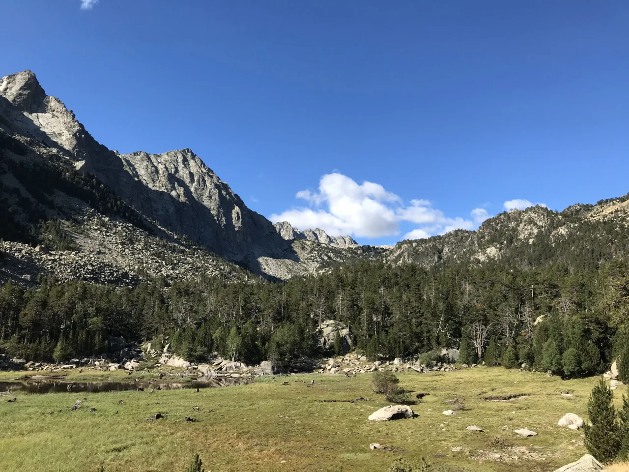High meadows